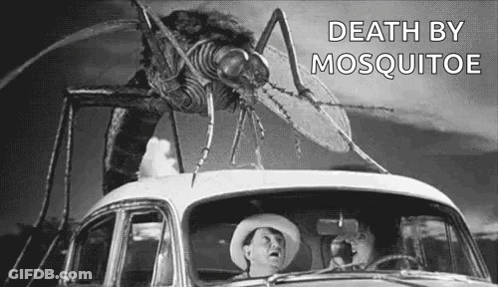 Cowboy Driving Car With Mosquito On Top GIF