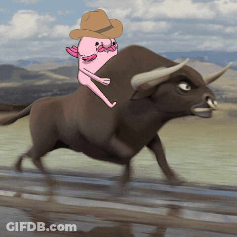 Cowboy Hat Cartoon Rides Bull GIF