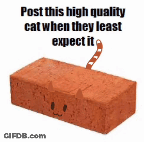 Cowboy Hat Man And School Uniform Boy With TikTok Watermark GIF