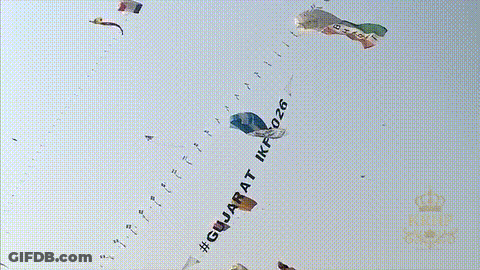 Cowboy Hat Man Holding Megaphone In Front Of Kite Flyer GIF