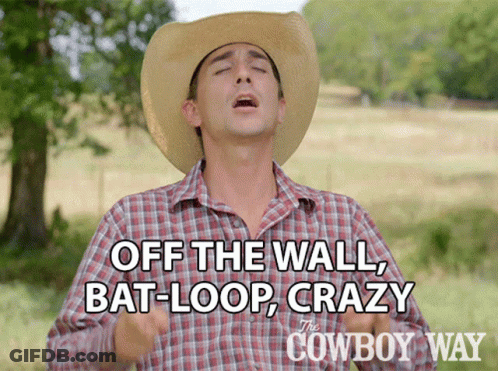 Cowboy Hat Man Says Off The Wall Bat-Loop Crazy GIF
