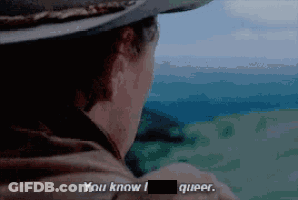 Cowboy Hat Man Says You Know I Queer Pixelated GIF