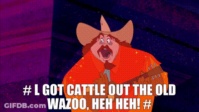 Cowboy Hat Man Singing With Guitar GIF