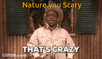 Cowboy Hat Man Sitting By Window Saying Nature You Scary That's Crazy GIF