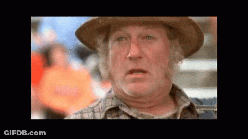 Cowboy Hat Plaid Shirt Man Funny Face GIF
