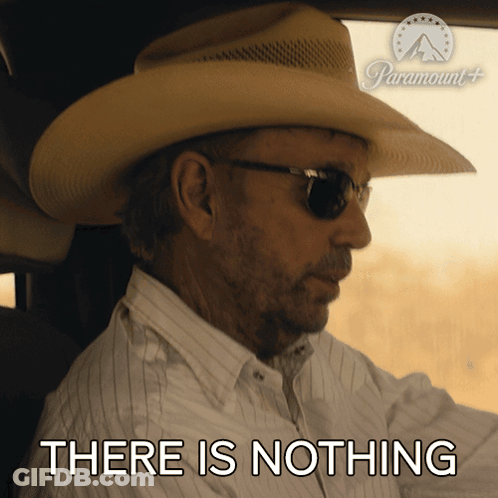 Cowboy Hat Sunglasses Driving Car Saying There Is Nothing GIF
