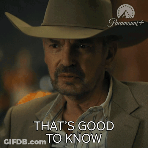 Cowboy Hat Sunglasses Driving Saying There Is Nothing GIF