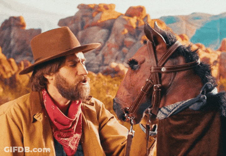 Cowboy Horse Shut Up Baby I Know It GIF