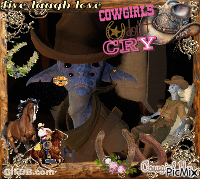 Cowboy Live Laugh Love Cowgirls Cry GIF