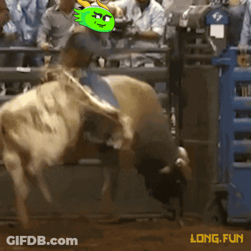 Cowboy Riding Bull Saying Long Fun GIF