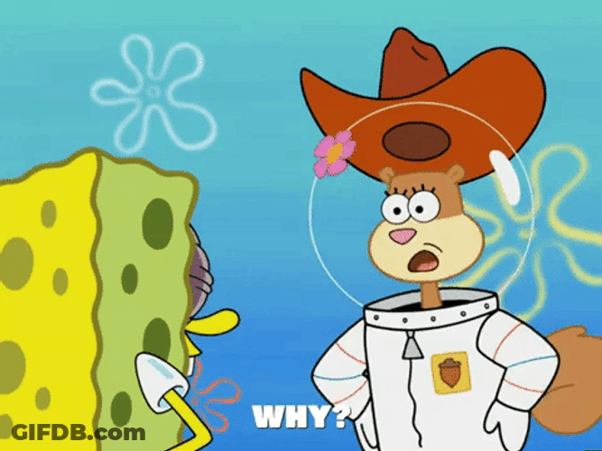 Cowboy Sandy Cheeks Why Squirrel Meme GIF