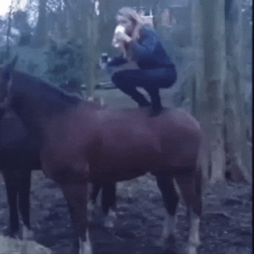Cowboy Stunt Fail Hold My Beer GIF