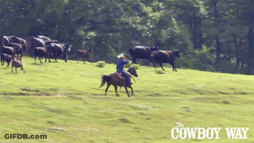 Cowboy Way Poster Man Riding Horse In Grassy Field GIF