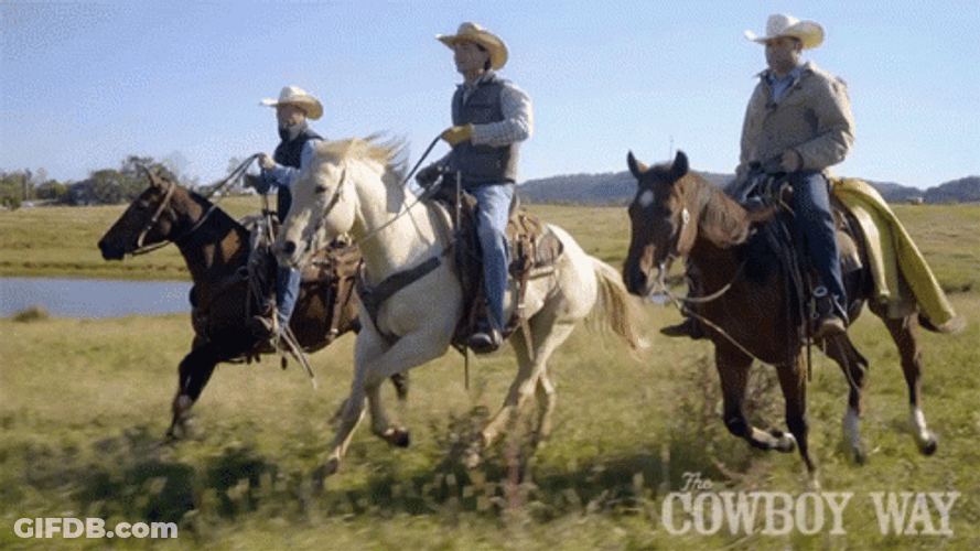 Cowboys Riding Horse Cody Harris GIF