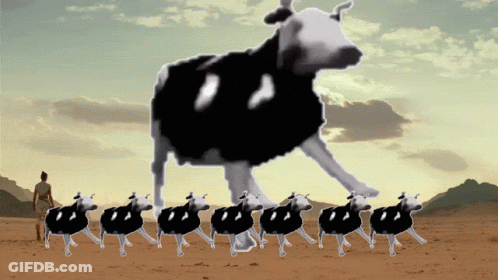 Cows Walking In Line With Giant Cow GIF