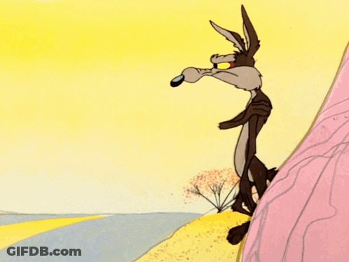 Coyote And Road Runner GIF