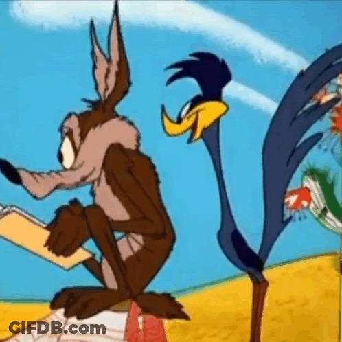 Coyote And Road Runner Looking GIF
