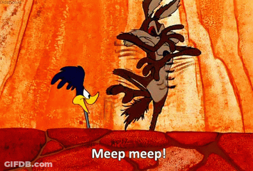 Coyote And Road Runner Meep Meep GIF