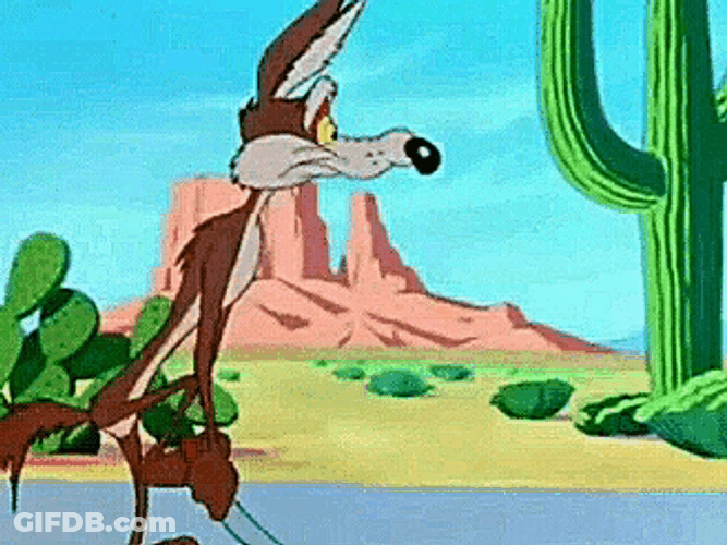 Coyote Cartoon Jaw Drop GIF