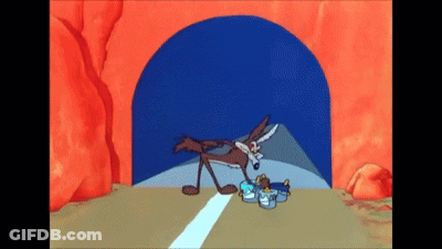 Coyote In Tunnel With Bucket Of Food GIF