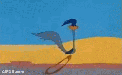 Coyote Running In Desert GIF