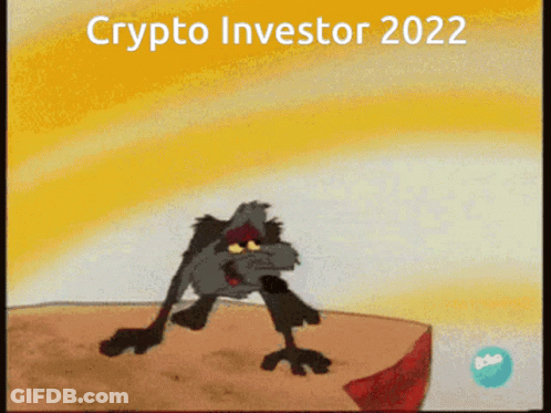 Coyote Standing On Rock Crypto Investor 2022 GIF