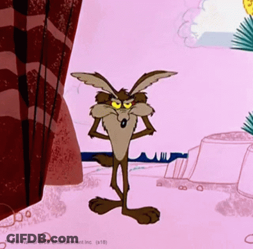 Coyote Standing With Arms Crossed GIF