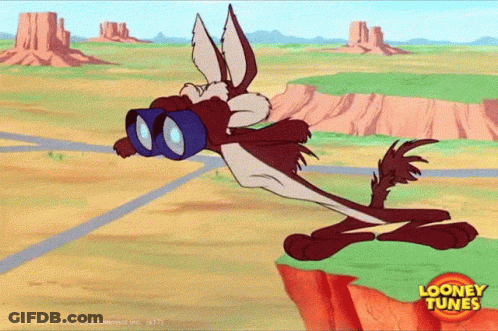 Coyote With Binoculars Looney Tunes GIF