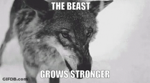 Coyote With The Beast Grows Stronger Caption GIF