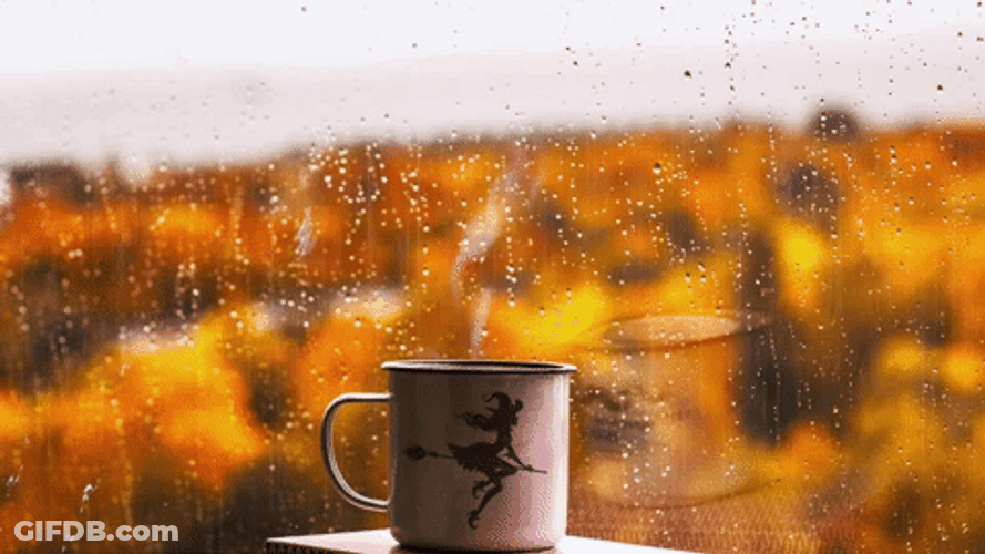 Cozy Autumn Rainy Day Coffee GIF