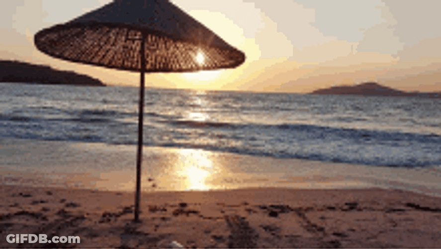 Cozy Beach Waves GIF