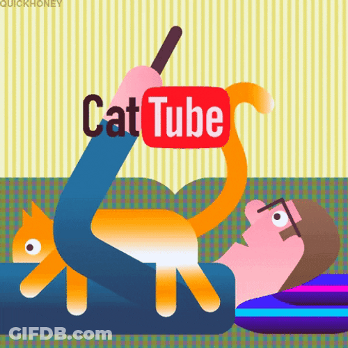 Cozy Cat Tube Cute Cuddle GIF