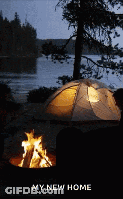 Cozy Lake Camping New Home GIF