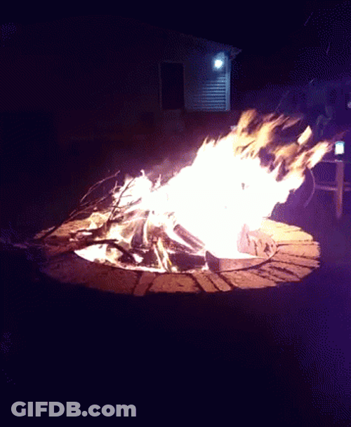 Cozy Strong Backyard Campfire GIF