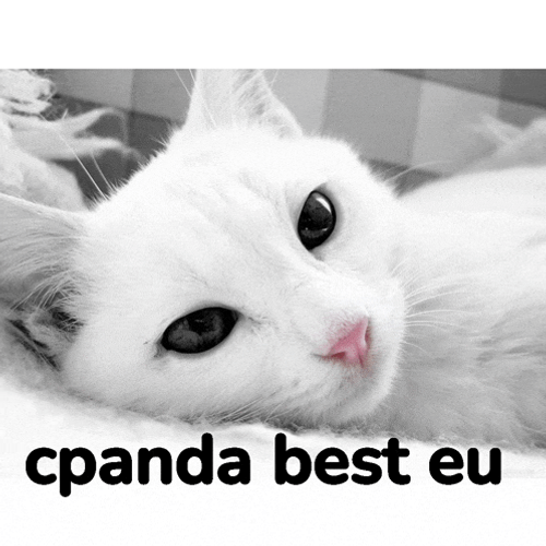 Cpanda Meme GIF