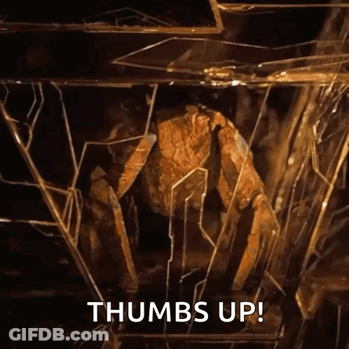 Crab Behind Broken Glass Saying Thumbs Up GIF