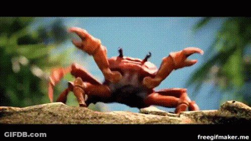 Crab Crawling On Rock GIF