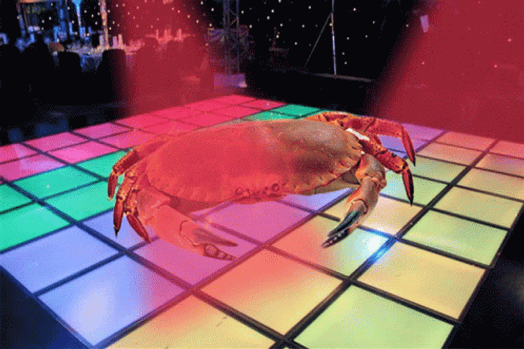 Crab Disco Party Dance GIF
