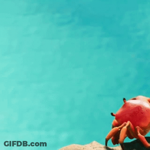 Crab Flying Through Water GIF