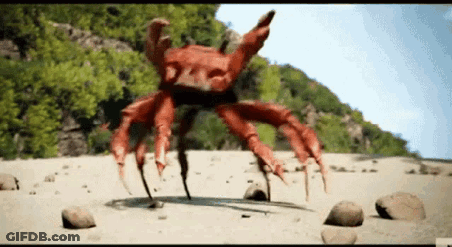 Crab Funny Rave Dance GIF