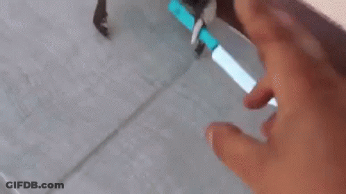 Crab Holding Blue Sword GIF