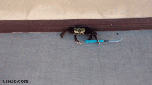 Crab Holding Knife GIF