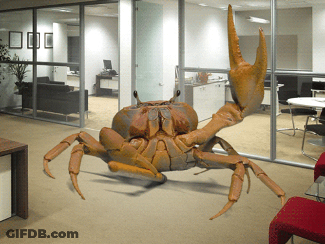 Crab Rave Office Company GIF