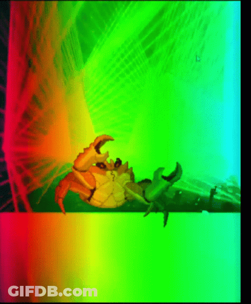 Crab Rave Party GIF