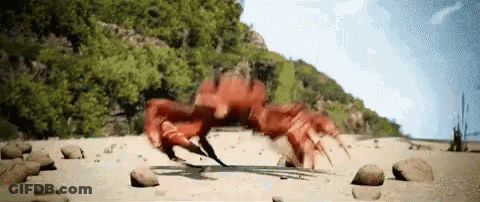 Crab Walking On Rocky Beach With Mountain GIF