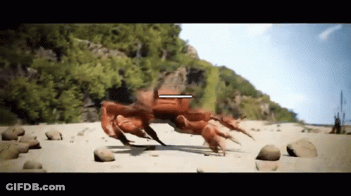 Crab Walking On Sandy Beach With Arrow Pointing GIF