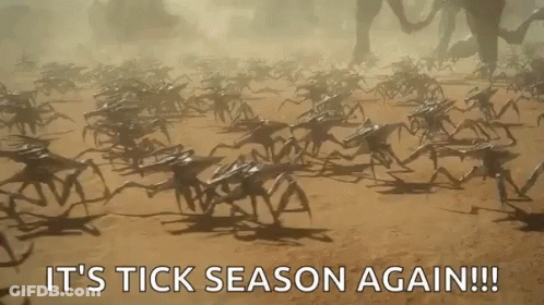 Crabs Walking In Dirt It's Tick Season Again GIF
