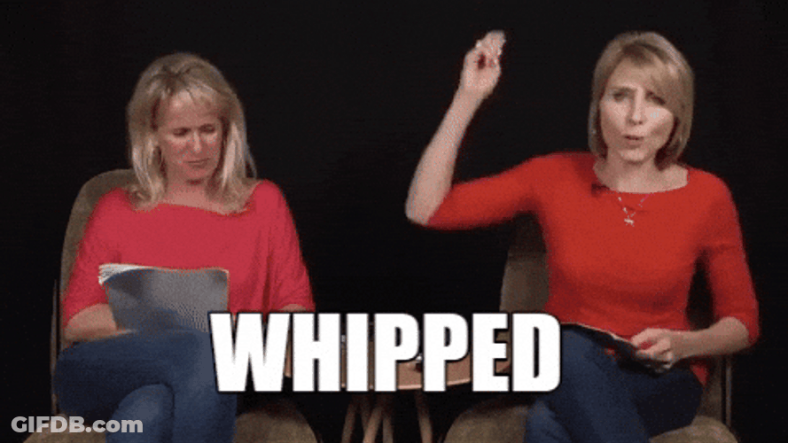 Crack The Whip Whipped GIF