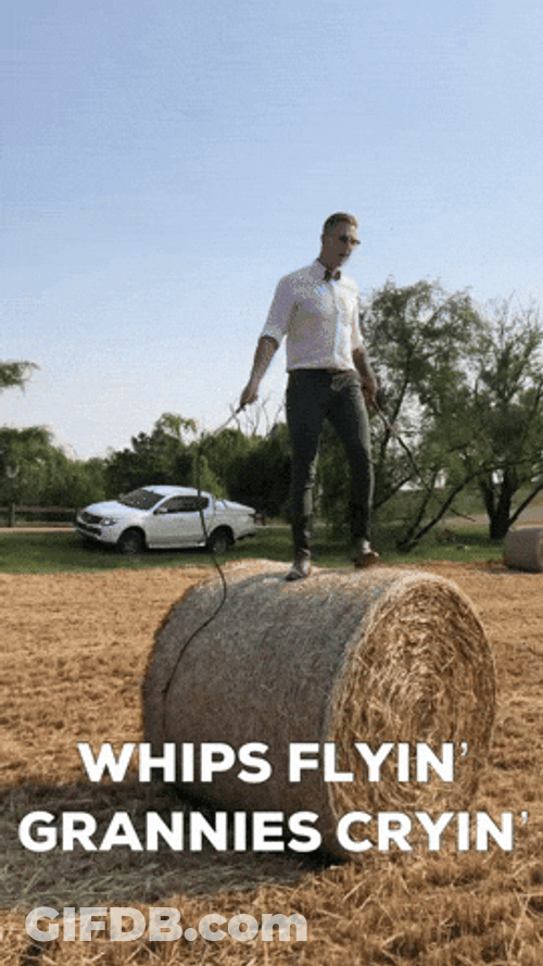 Crack The Whip Whips Flying Grannies GIF