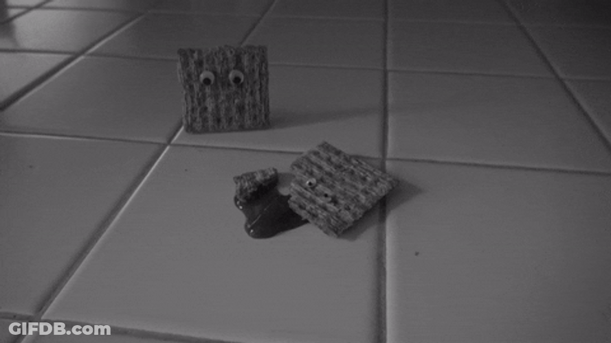 Cracker On The Floor GIF